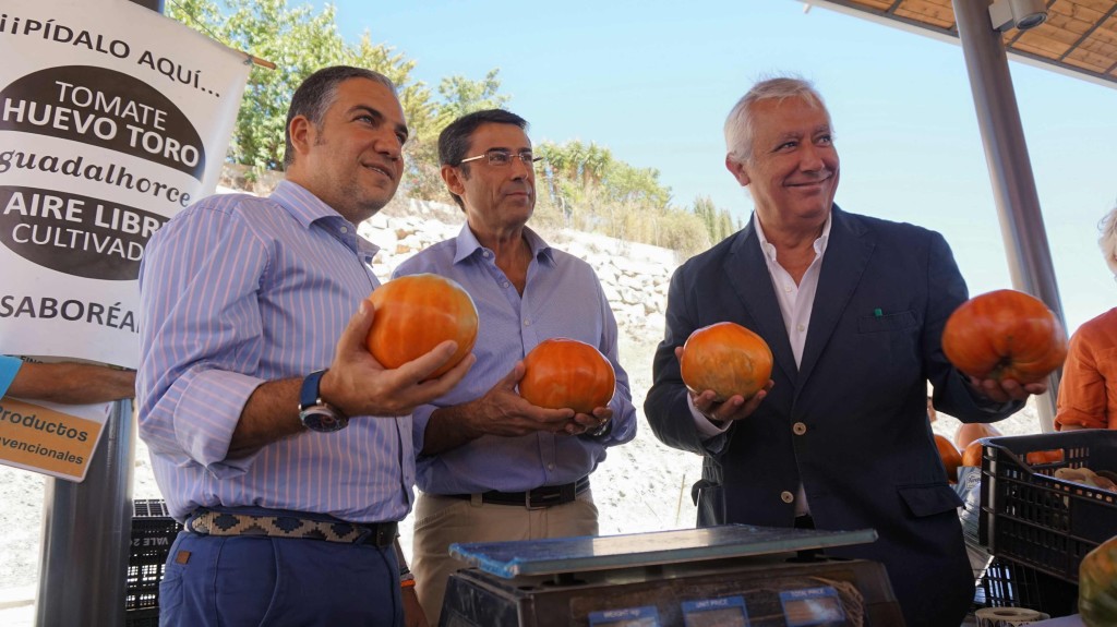El presidente del PP de Málaga, Elías Bendodo (primero izqda) este domingo en Coín junto al alcalde, Fernando Fernández Tapia y el vicesecretario nacional de Autonomías y Ayuntamientos, Javier Arenas