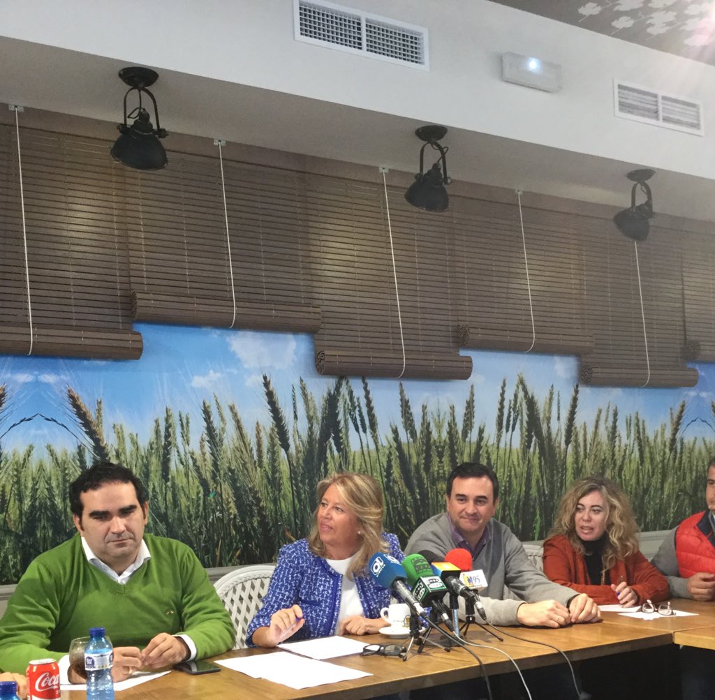 La presidenta del PP de Marbella, Ángeles Muñoz, haciendo balance del año este martes, junto a varios de sus concejales. Foto/ Twitter PP
