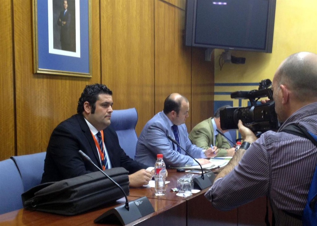 Carlos Cañavate, asesor jurídico del alcalde de Marbella, este martes durante su comparecencia en la Comisión de Investigación de los Cursos de Formación. Foto/ Europa Press