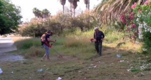 Dos vecinos vinculados a Acción Vecinal San Pedro en labores de desbroce. FOTO/ AVSP
