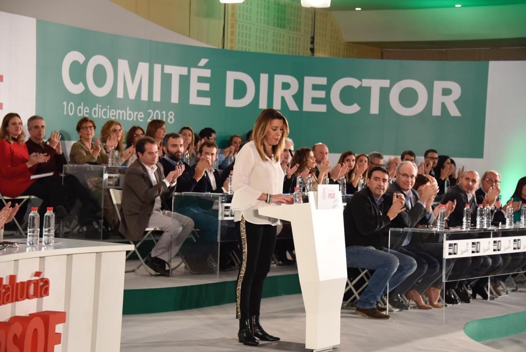 La secretaria general del PSOE-A, Susana Díaz, este lunes durante su intervención ante el Comité Director, en imagen reciente. FOTO/ PSOE-A