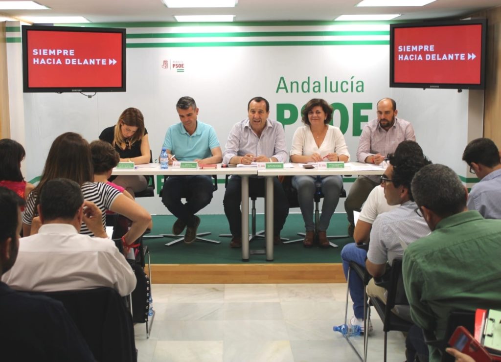 Imagen de la Ejecutiva celebrada este martes en el PSOE de Málaga para analizar resultados. FOTO/ PSOE